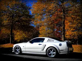 DSCN0107-001.webp