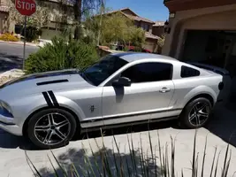 mustang.webp