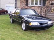 Mule-2-020.gif