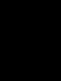 A3B7309E-DBE4-4B47-AF49-86893E57F9D4.webp