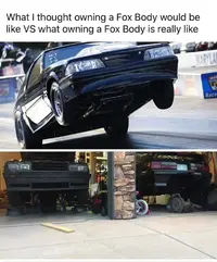 FB_IMG_1533441170952.webp