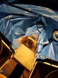 20180812_183113.webp