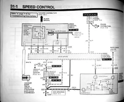 Scan29-1.webp