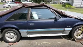 Mustang Outside.webp
