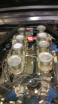 MUSTANG 289 (2).webp