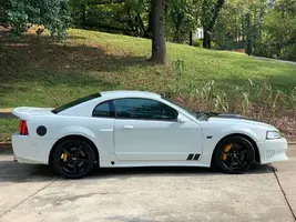 Stang 1.webp