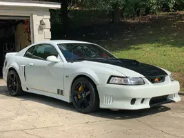 Stang2.webp