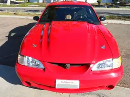 InkedSAM_0802_LI.webp