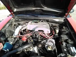 saleen2.webp