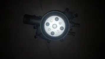15409489813261463027488.webp