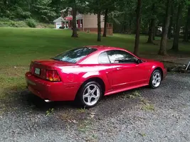 Cobra4.webp