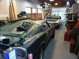 Mustang and impala(2).webp