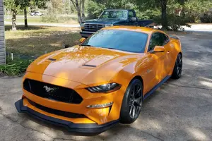 Mustang.webp