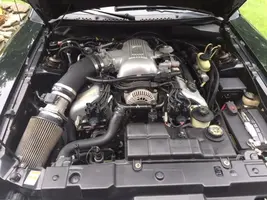 cobra_0250.webp