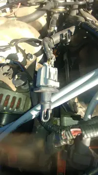 stang sensor.webp
