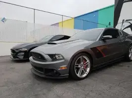 roush and black 19 stang 2.webp