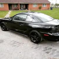 Mustang.webp