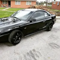 Mustang2.webp