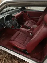 interior Jan 24 2019.webp