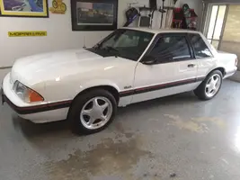 mustang.webp