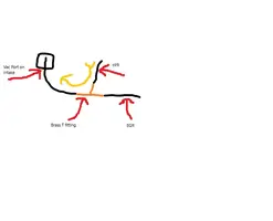 Untitled.webp