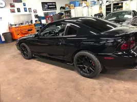 Stang 1.webp
