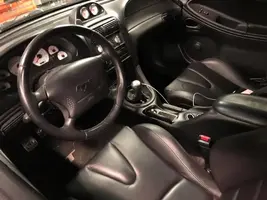 Stang 2.webp