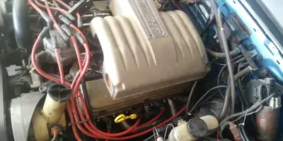 55575809_436452146896926_6554194727342702592_n.webp