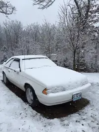 snow.webp