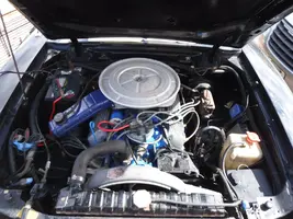 DSCF0181.webp