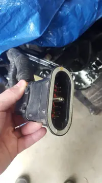 20190406_112148.jpg 20190406_112148.jpg