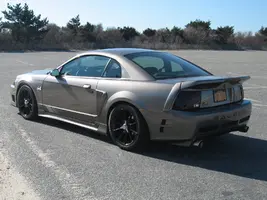 saleen 3132019 005.webp