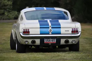 Mustang 12th April 2016 008.webp