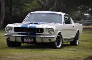 Mustang 12th April 2016 004.webp