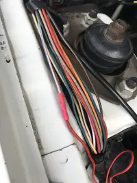 E04E8E3F-28A3-4EEB-BF1F-D450C934C7D8.webp
