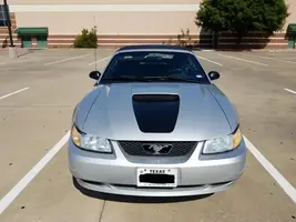 43633159051.498876373.IM1.04.1000x750_A.1000x750.webp