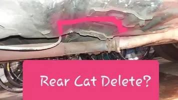 Rear Cat Delete.webp