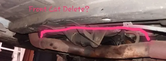Front Cat Delete.webp