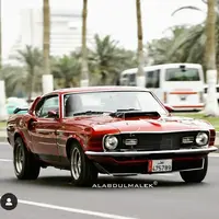 mustang pic.webp