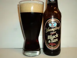 Yuengling+-+Black+%2526+Tan+003.webp