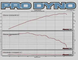 dyno2.webp