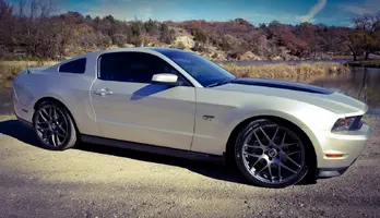 MUSTANG.webp