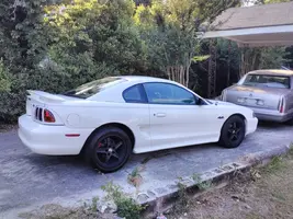 mustang.webp