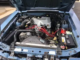 59897428_10218384554663617_4066983989477376000_n.webp