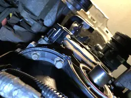 E3384B80-342F-46E2-9F47-40EE8543303A.webp