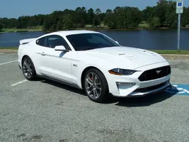 Mustang phase 2.webp