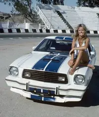 5f32c463b5ab9f0300c4e8b0cce90a92--mustang-cobra-ford-mustang.webp