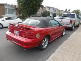 DSCN6551.webp