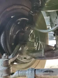 Lower Arm.webp