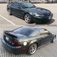 Mustang Combination.webp